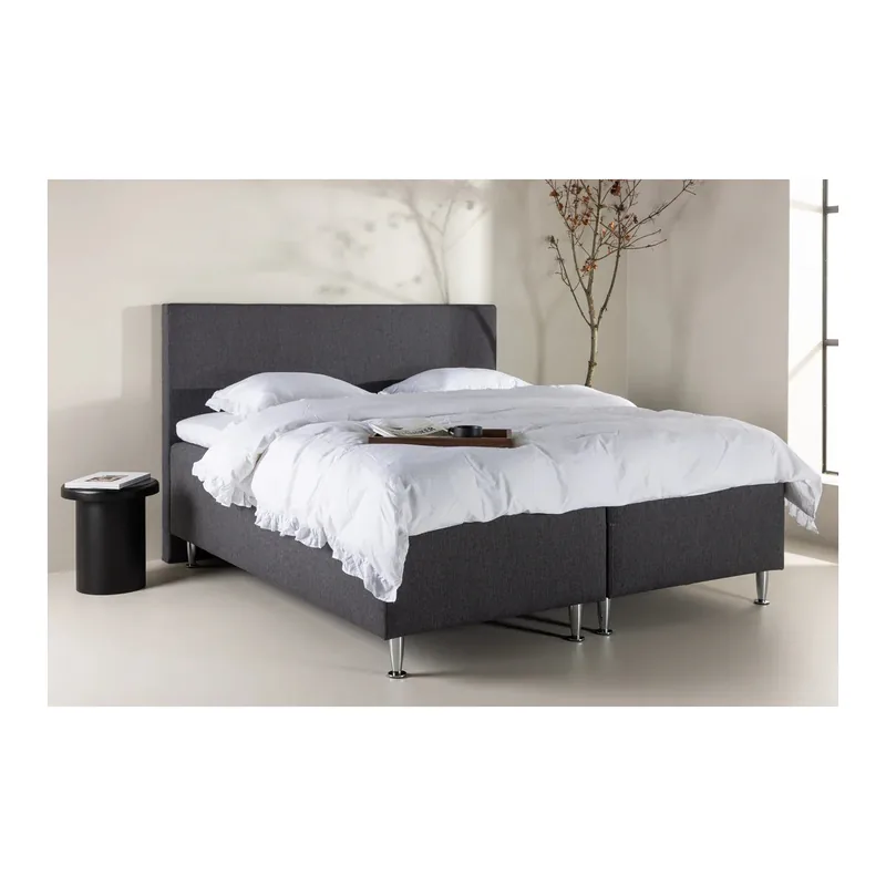 Venture Design Mesa