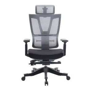 YoGA ErgoQuest